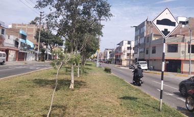 Casa 215 M2, Con Licencia Para Atención Al Publico, Av Alejandro Bertello, Limite Con Pueblo Libre