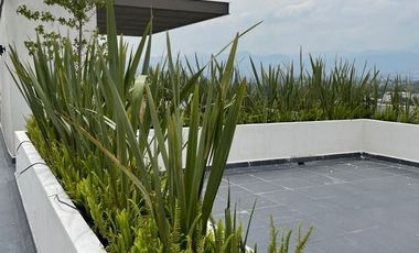 Departamento Renta Coyoacán CDMX