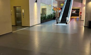 Departamento Renta Coyoacán CDMX