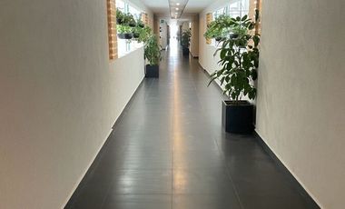 Departamento Renta Coyoacán CDMX