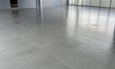 Departamento Renta Coyoacán CDMX