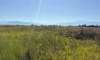 VENDO  PARCELAS EN CRUCE TINGUIRIRICA CON LUZ Y AGUA POTABLE DE APR