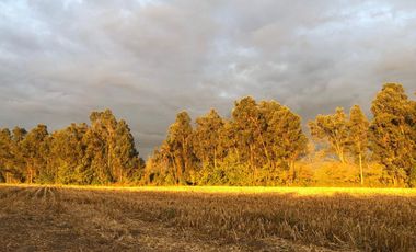 Vendo terrenos Agricolas en San Fernando