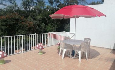 RENTO DEPARTAMENTO AMUEBLADO MUY AMPLIO  EXCELENTE UBICACION