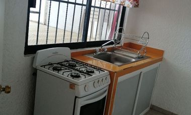 RENTO DEPARTAMENTO AMUEBLADO MUY AMPLIO  EXCELENTE UBICACION