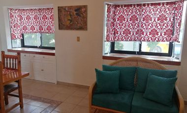 RENTO DEPARTAMENTO AMUEBLADO MUY AMPLIO  EXCELENTE UBICACION