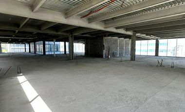 RENTA OFICINA - Valle Oriente (OBRA GRIS)