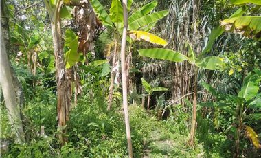 Casa en Venta Velez Santander (Para Remodelación)