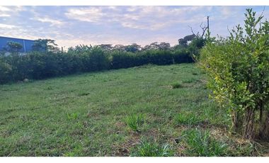 LOTES PARA CASA QUINTAS