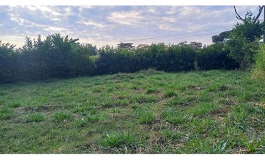 LOTES PARA CASA QUINTAS