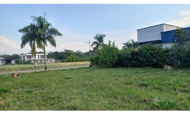 LOTES PARA CASA QUINTAS