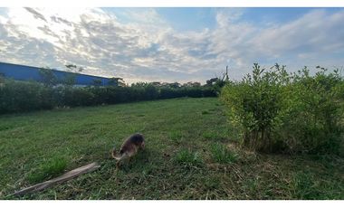 LOTES PARA CASA QUINTAS