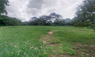 EN VENTA LOTE SANTAMARIA -CAIRO