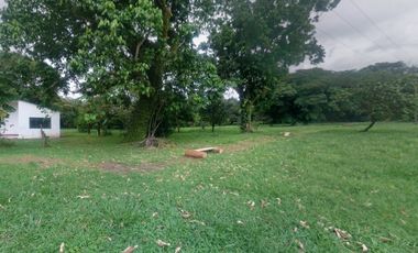 EN VENTA LOTE SANTAMARIA -CAIRO