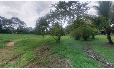 EN VENTA LOTE SANTAMARIA -CAIRO