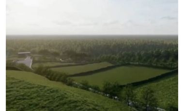 Lote en venta en San Jerónimo, Vereda Guayacán