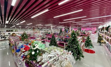 LOCAL EN VIA ESPAÑA PARA VENTA DE AUTOS - ALQUILER