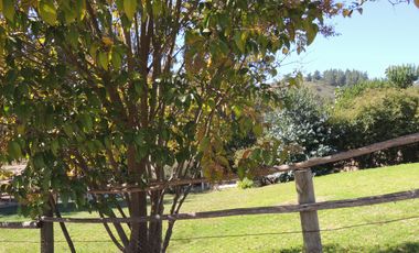LINDO CAMPO DE 10 HA EN SECTOR LAGUNILLAS, CASABLANCA
