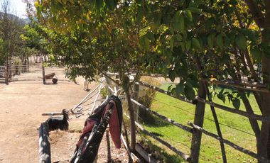 LINDO CAMPO DE 10 HA EN SECTOR LAGUNILLAS, CASABLANCA