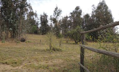LINDO CAMPO DE 10 HA EN SECTOR LAGUNILLAS, CASABLANCA