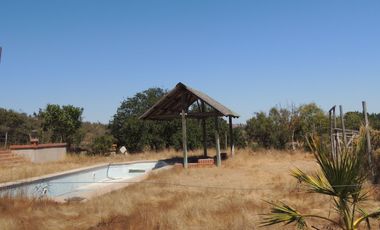 LINDO CAMPO DE 10 HA EN SECTOR LAGUNILLAS, CASABLANCA