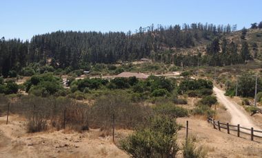 LINDO CAMPO DE 10 HA EN SECTOR LAGUNILLAS, CASABLANCA