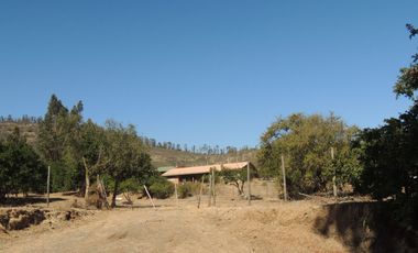 LINDO CAMPO DE 10 HA EN SECTOR LAGUNILLAS, CASABLANCA