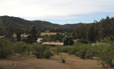 LINDO CAMPO DE 10 HA EN SECTOR LAGUNILLAS, CASABLANCA
