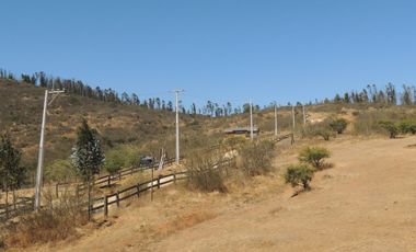 LINDO CAMPO DE 10 HA EN SECTOR LAGUNILLAS, CASABLANCA