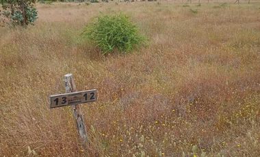 Parcela en venta  en SAN NICOLÁS