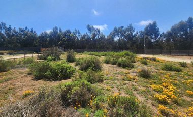 Parcela en venta en COLBÚN