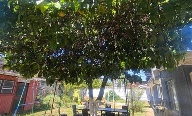 Casa en Venta en Erasmo escala 498 chillan viejo