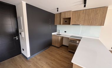 Departamento en Arriendo en Julio Nieto , Providencia,Metro Ines de Suarez