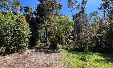 Se Arrienda casa Amoblada 2D+2B Camino Las Quemas km 15,5