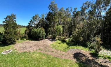 Se Arrienda casa Amoblada 2D+2B Camino Las Quemas km 15,5