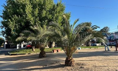 Casa en Venta en Sector Sur Poniente a pasos de Colegio Santo Tomas Talca