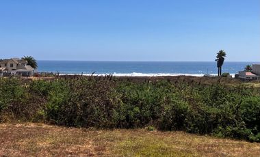 VENTA TERRENO - SITIO 12000MTS Pichilemu