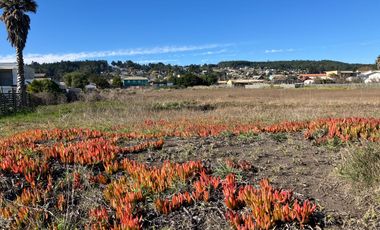 VENTA TERRENO - SITIO 12000MTS Pichilemu