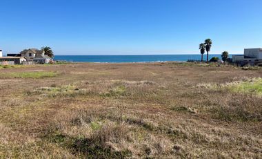 VENTA TERRENO - SITIO 12000MTS Pichilemu