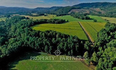 Paillaco, ganadero, muy buenas construcciones y sistema de riego