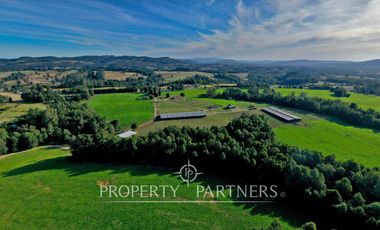 Paillaco, ganadero, muy buenas construcciones y sistema de riego