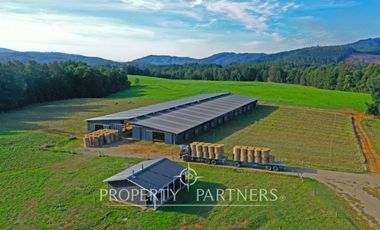 Paillaco, ganadero, muy buenas construcciones y sistema de riego