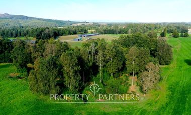 Paillaco, ganadero, muy buenas construcciones y sistema de riego