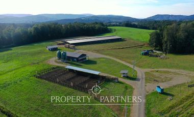 Paillaco, ganadero, muy buenas construcciones y sistema de riego