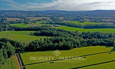 Paillaco, ganadero, muy buenas construcciones y sistema de riego