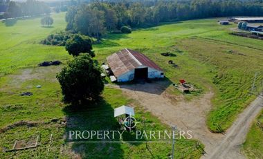 Paillaco, ganadero, muy buenas construcciones y sistema de riego