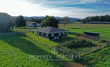 Paillaco, ganadero, muy buenas construcciones y sistema de riego