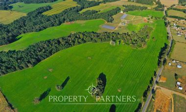 Paillaco, ganadero, muy buenas construcciones y sistema de riego