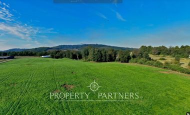 Paillaco, ganadero, muy buenas construcciones y sistema de riego