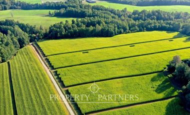 Paillaco, ganadero, muy buenas construcciones y sistema de riego